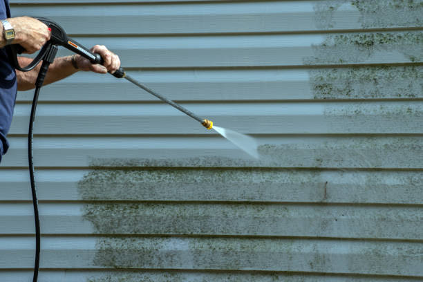 Best House Pressure Washing  in Vonore, TN